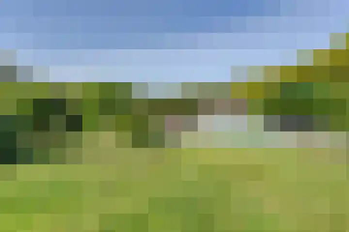 Roemer 23 Hazerswoude-Dorp thumbnail 30