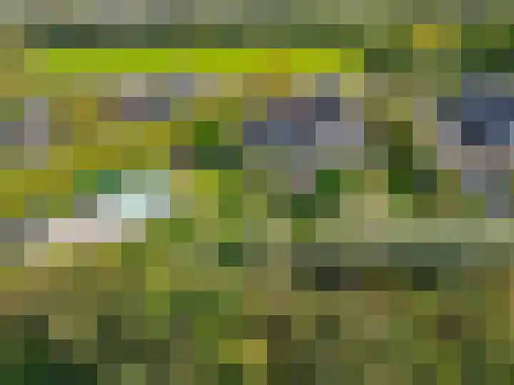 Roemer 23 Hazerswoude-Dorp thumbnail 4