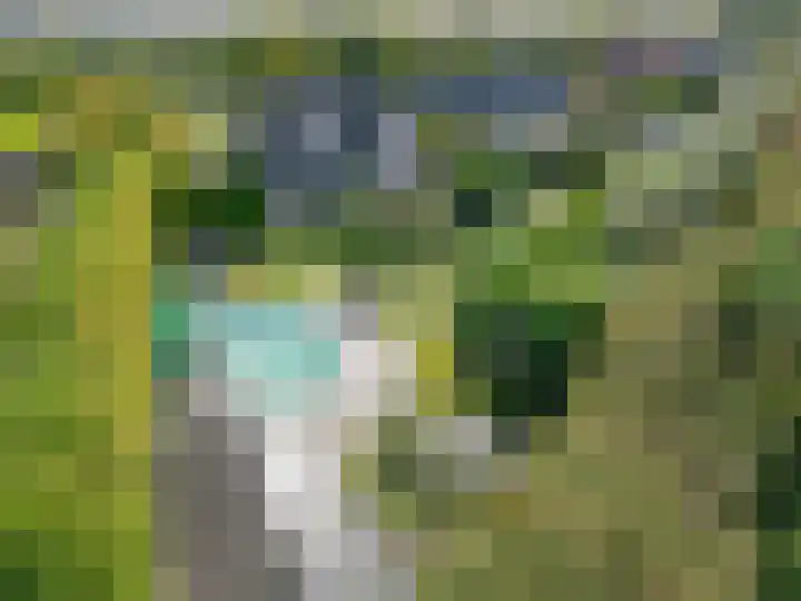 Roemer 23 Hazerswoude-Dorp thumbnail 5