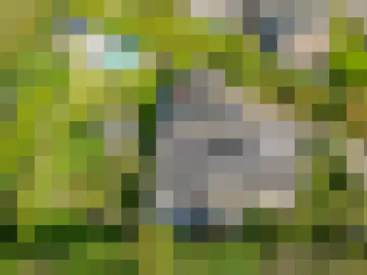 Roemer 23 Hazerswoude-Dorp thumbnail 50