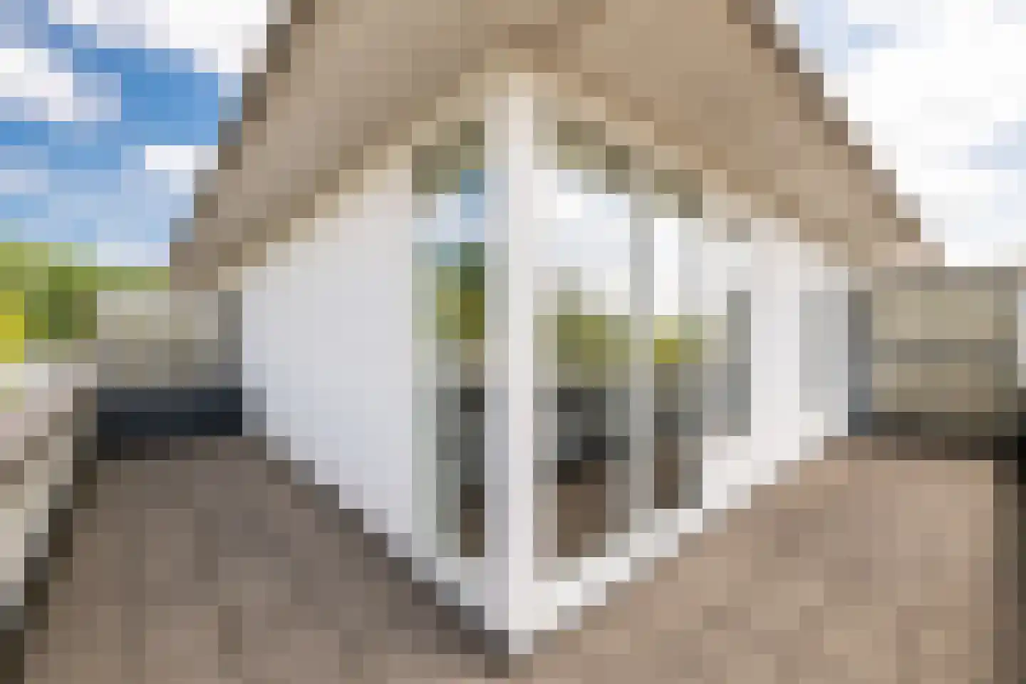 Roemer 24 Amsterdam thumbnail 15