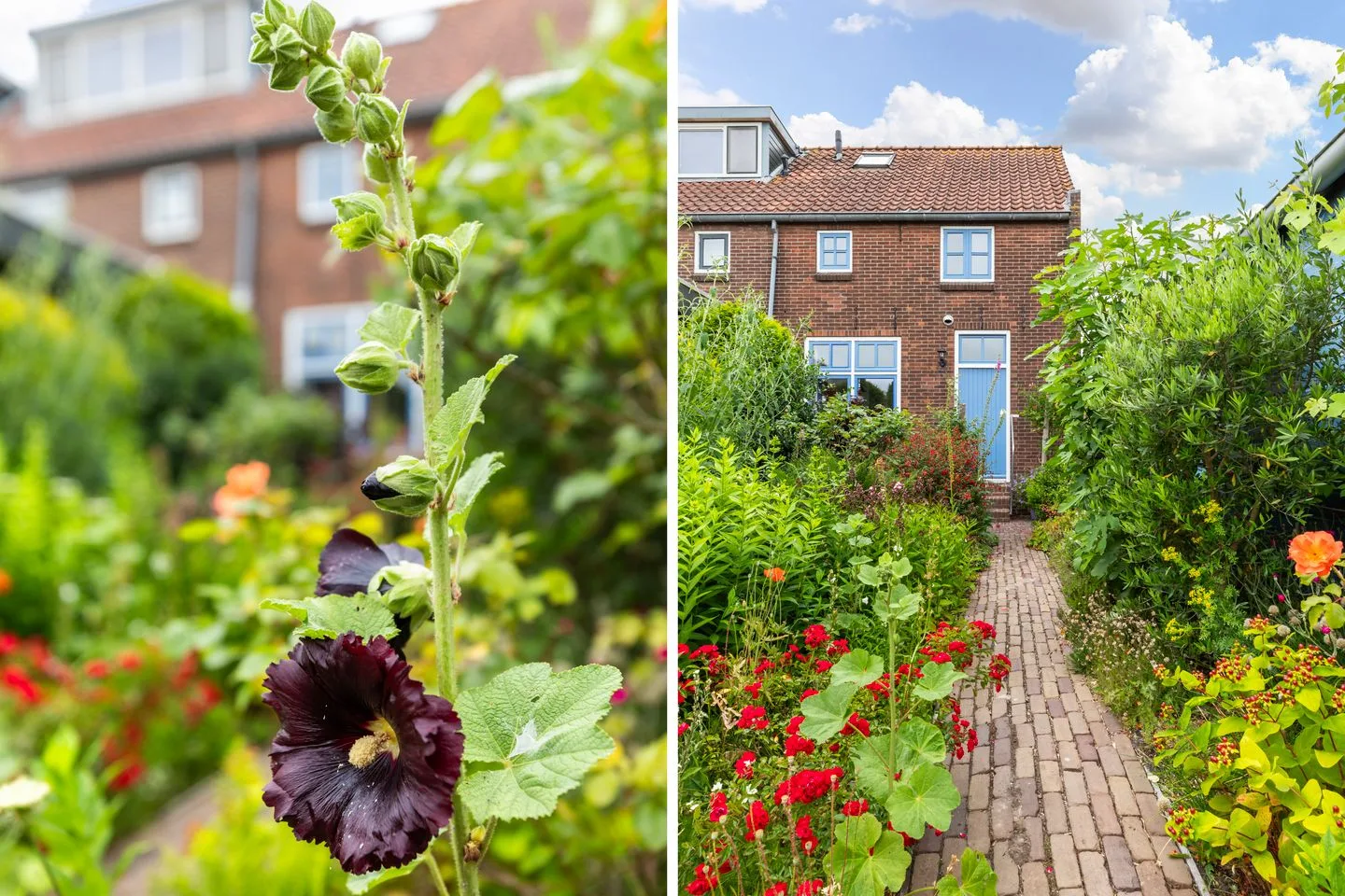 Roemer 8 Hazerswoude-Dorp thumbnail 57