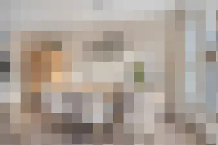 Roemer Visscherhof 27 Goor thumbnail 10