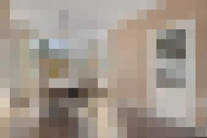 Roemer Visscherhof 27 Goor thumbnail 11