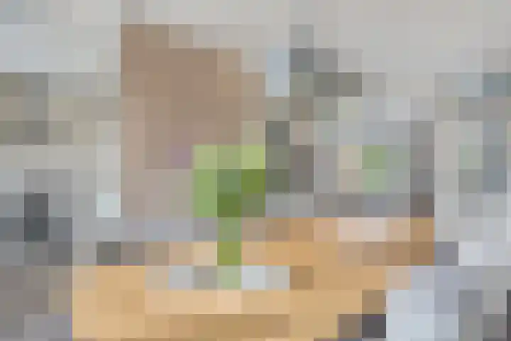 Roemer Visscherhof 27 Goor thumbnail 12