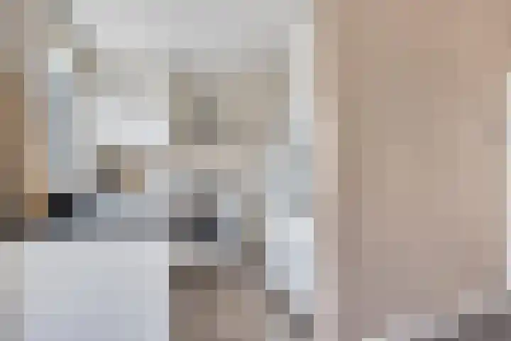 Roemer Visscherhof 27 Goor thumbnail 14