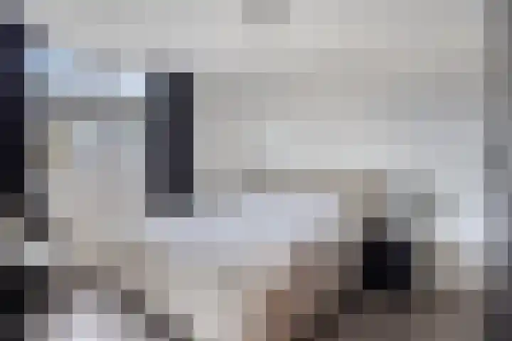 Roemer Visscherhof 27 Goor thumbnail 20