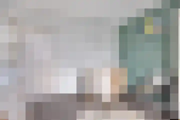 Roemer Visscherhof 27 Goor thumbnail 24