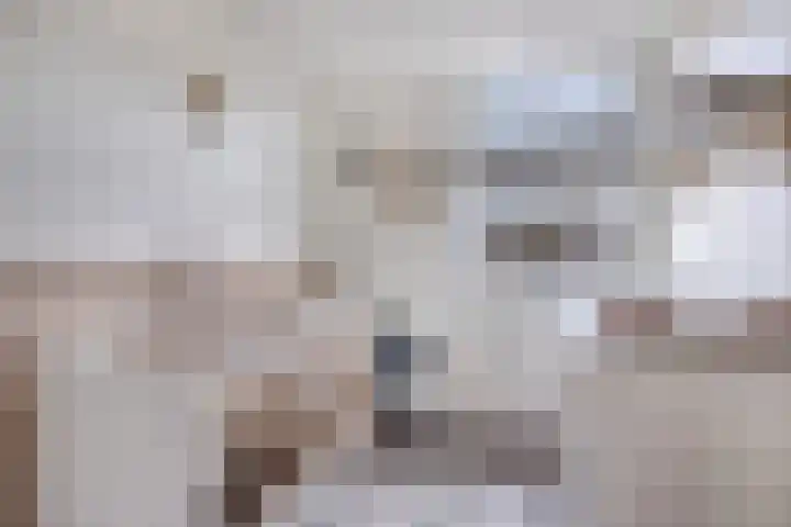 Roemer Visscherhof 27 Goor thumbnail 25
