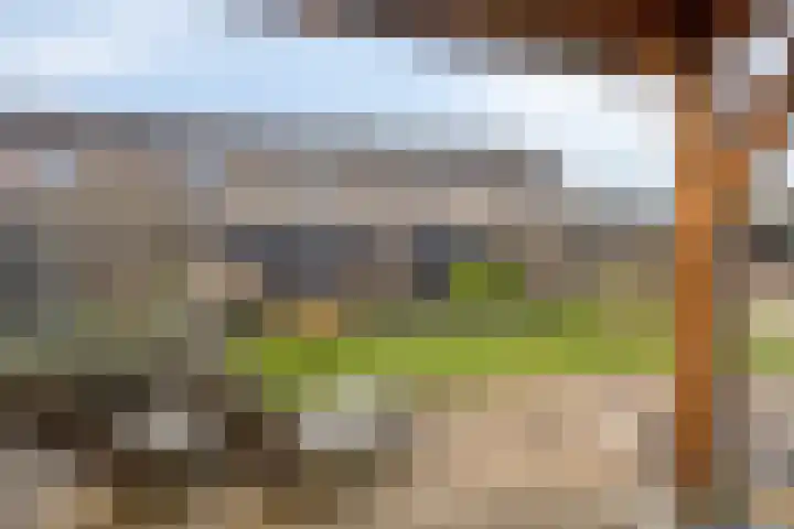 Roemer Visscherhof 27 Goor thumbnail 34