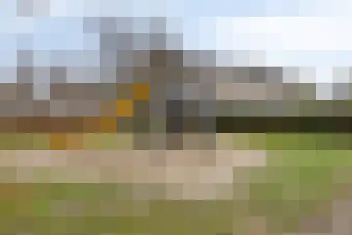 Roemer Visscherhof 27 Goor thumbnail 38