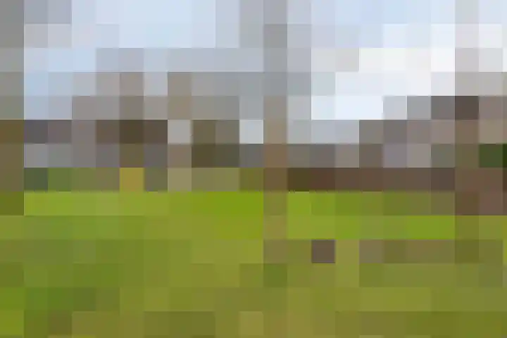 Roemer Visscherhof 27 Goor thumbnail 39