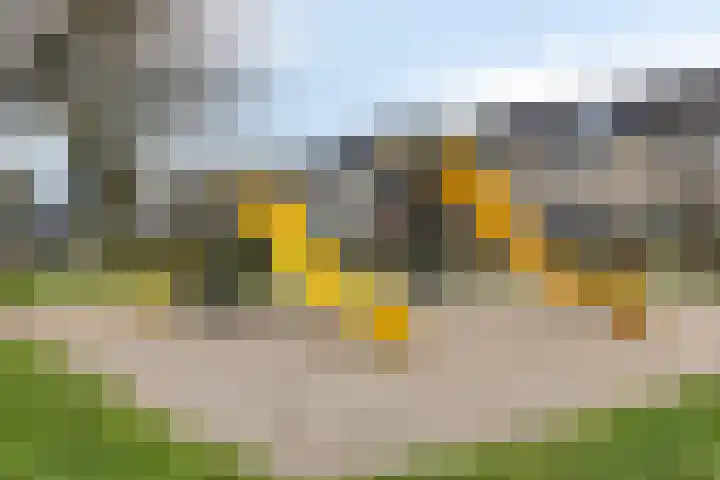 Roemer Visscherhof 27 Goor thumbnail 40