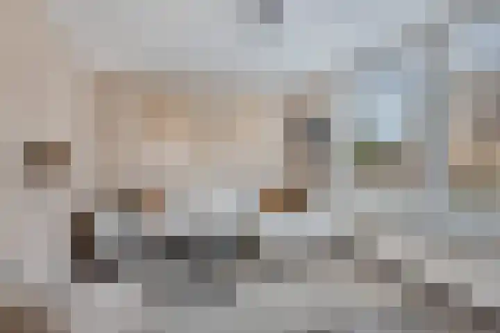 Roemer Visscherhof 27 Goor thumbnail 5