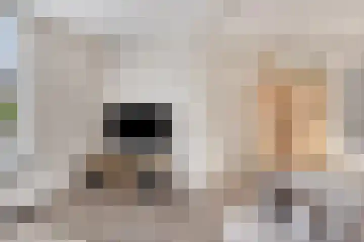 Roemer Visscherhof 27 Goor thumbnail 6