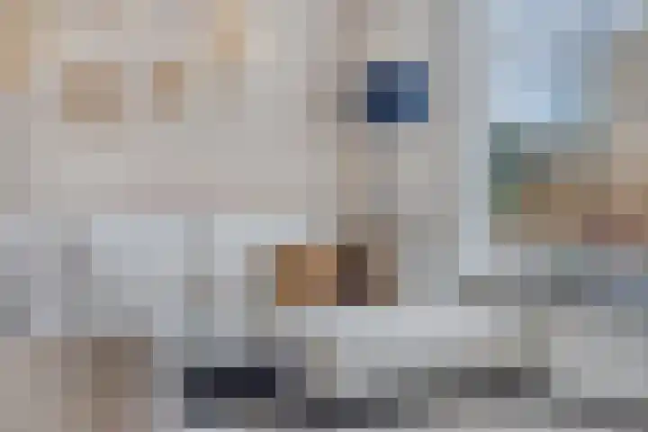 Roemer Visscherhof 27 Goor thumbnail 7