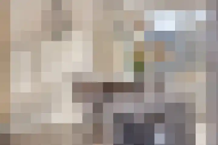 Roemer Visscherhof 27 Goor thumbnail 9