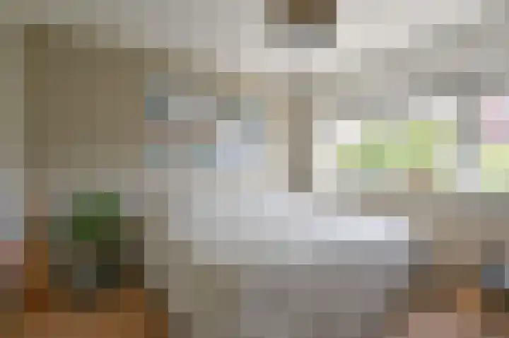 Roemer Visscherlaan 10 Bussum thumbnail 17
