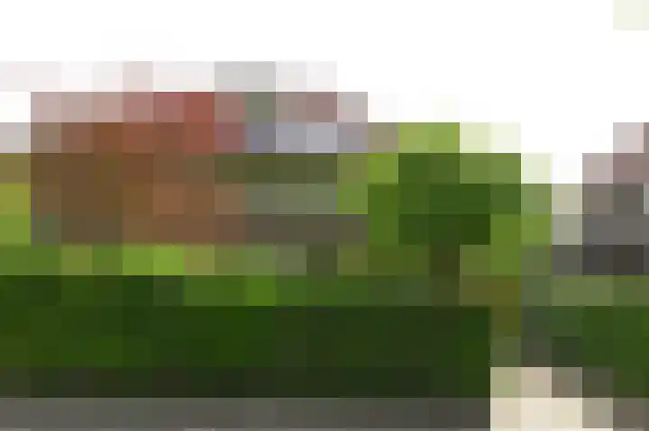 Roemer Visscherlaan 10 Bussum thumbnail 29