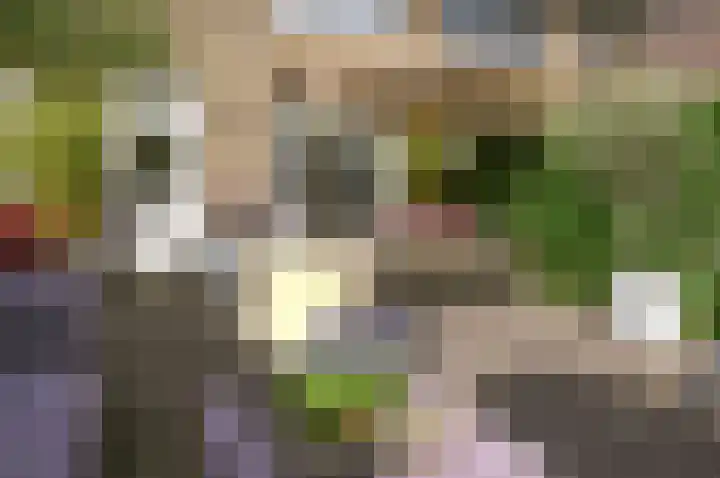 Roemer Visscherlaan 10 Bussum thumbnail 32