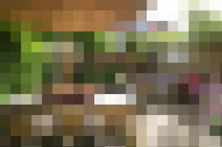 Roemer Visscherlaan 10 Bussum thumbnail 33