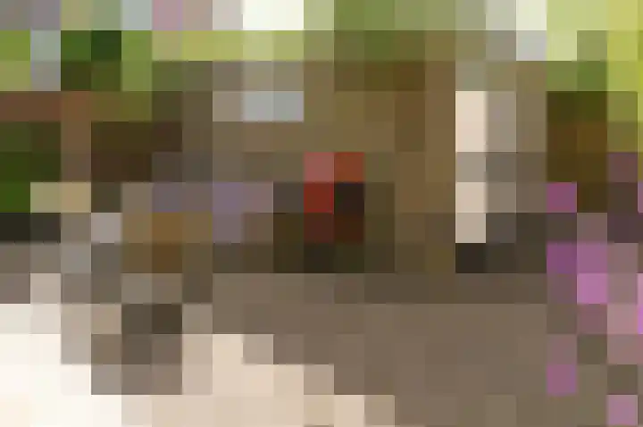 Roemer Visscherlaan 10 Bussum thumbnail 34