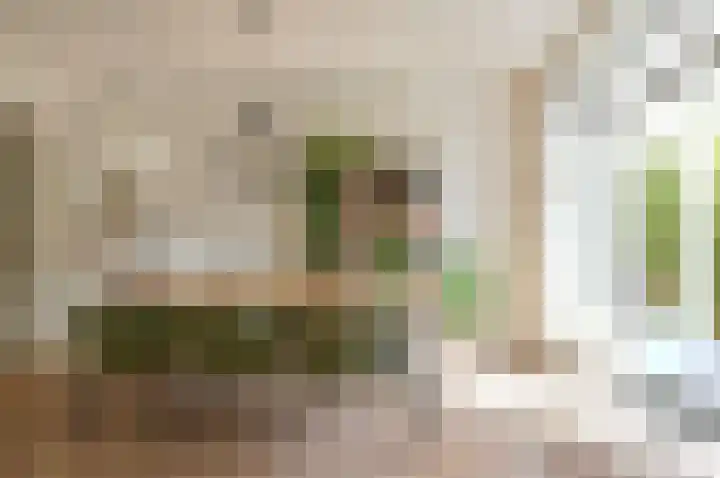 Roemer Visscherlaan 10 Bussum thumbnail 9