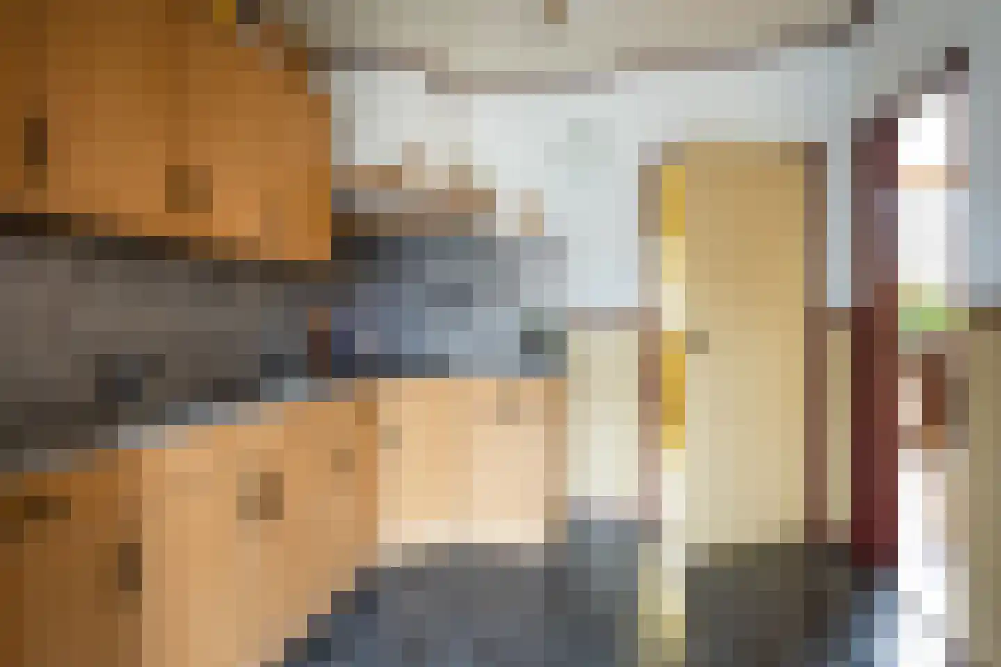 Roemer Visscherlaan 14 Roosendaal thumbnail 12