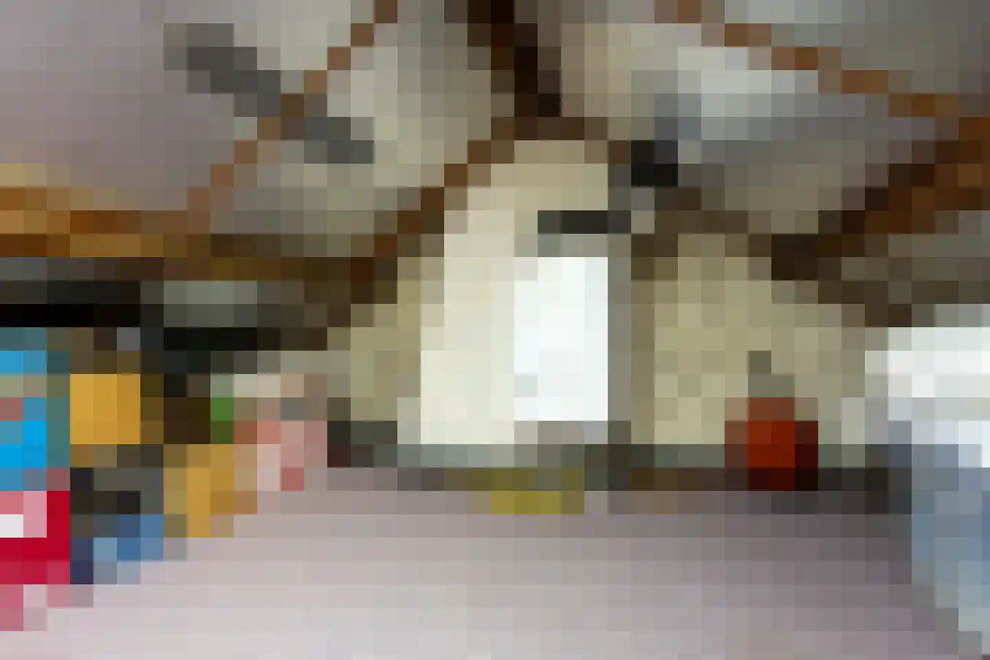 Roemer Visscherlaan 14 Roosendaal thumbnail 23