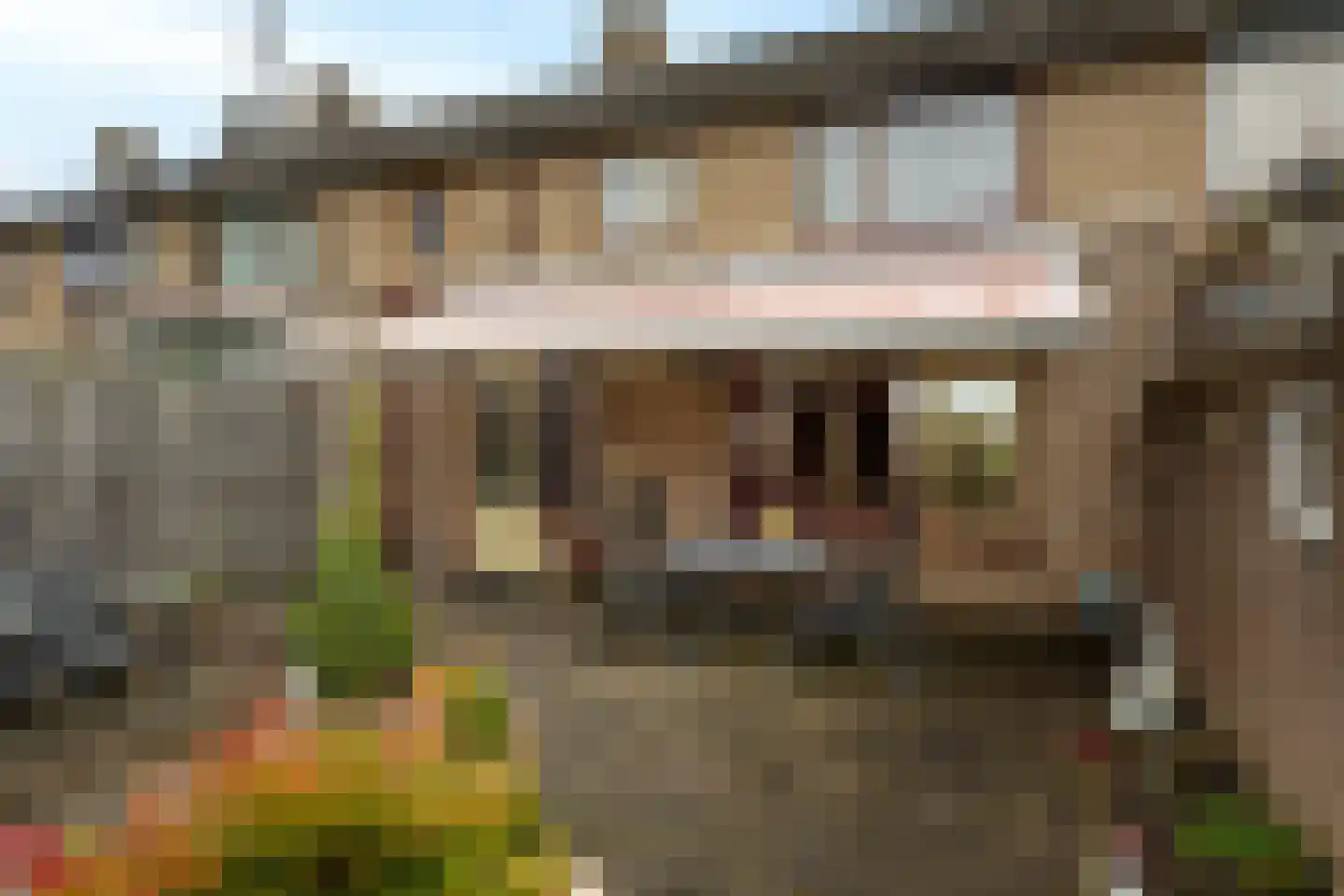 Roemer Visscherlaan 14 Roosendaal thumbnail 27