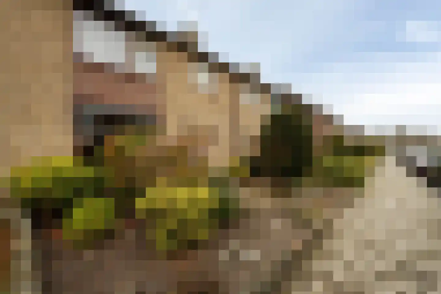 Roemer Visscherlaan 14 Roosendaal thumbnail 28