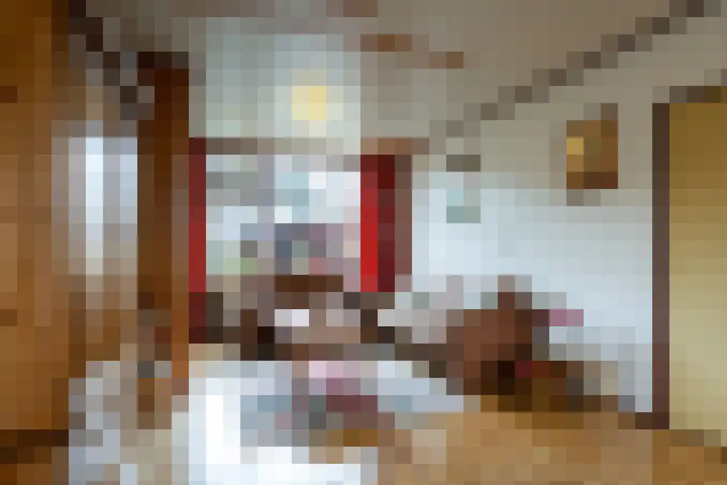 Roemer Visscherlaan 14 Roosendaal thumbnail 6