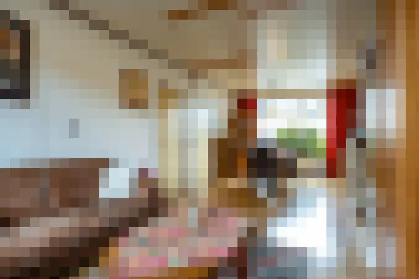 Roemer Visscherlaan 14 Roosendaal thumbnail 7