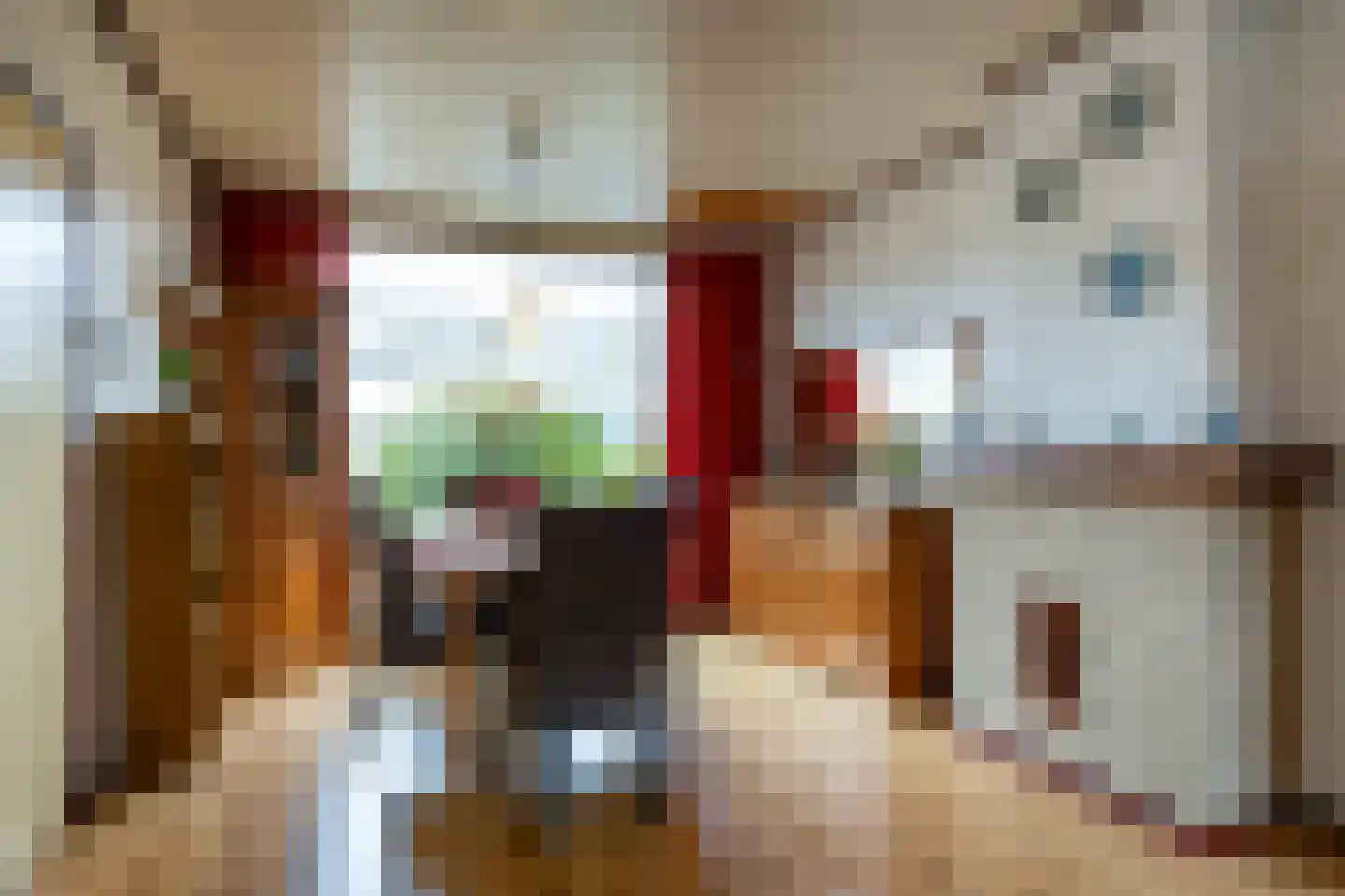 Roemer Visscherlaan 14 Roosendaal thumbnail 8