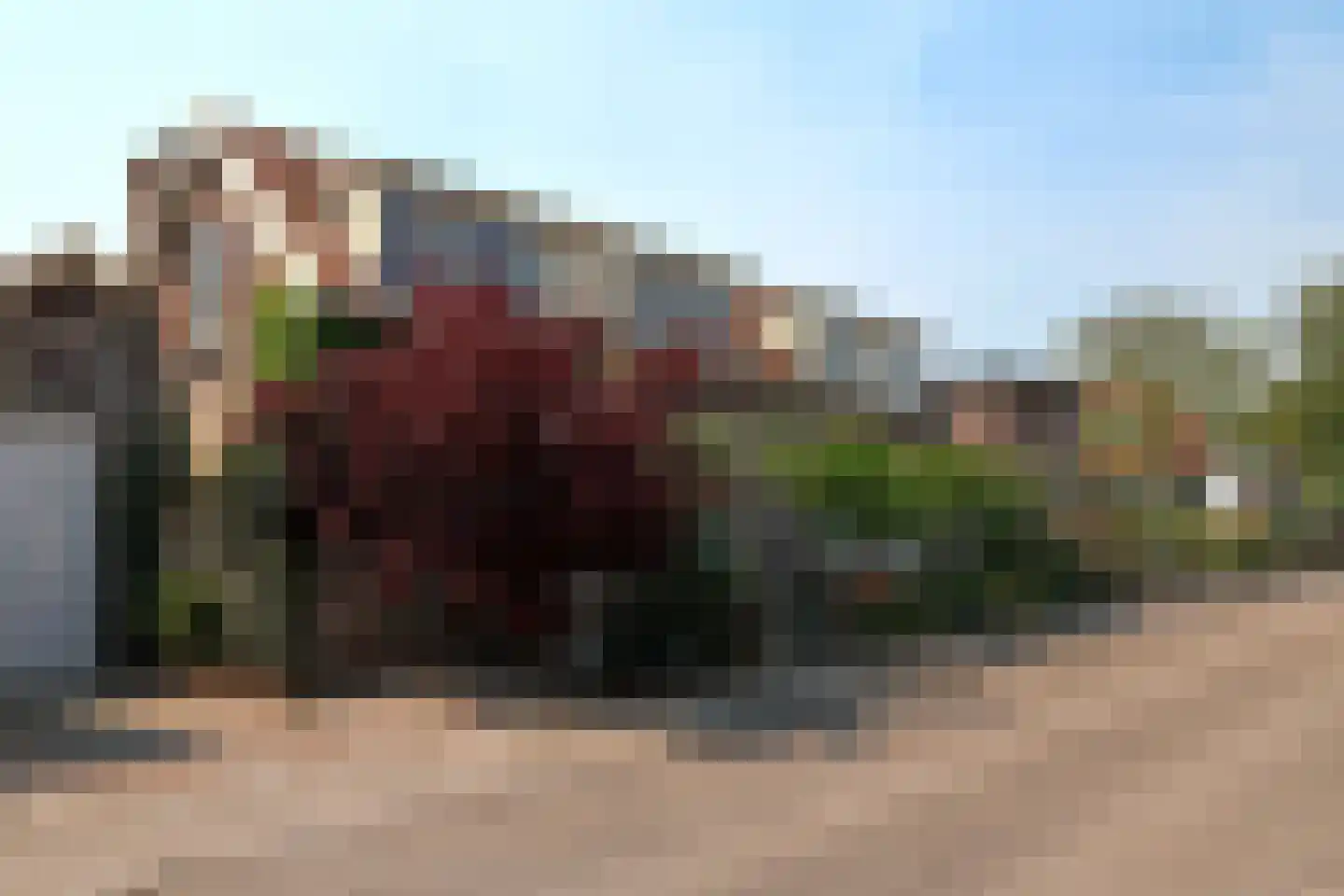Roemer Visscherlaan 2 Muiderberg foto 2