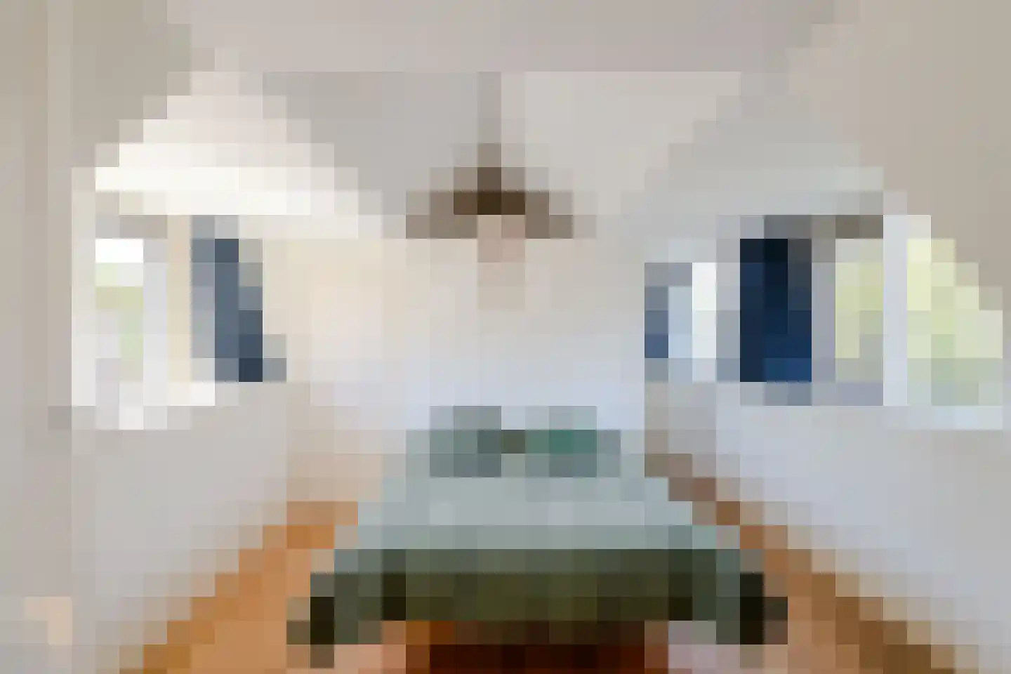 Roemer Visscherlaan 2 Muiderberg thumbnail 20