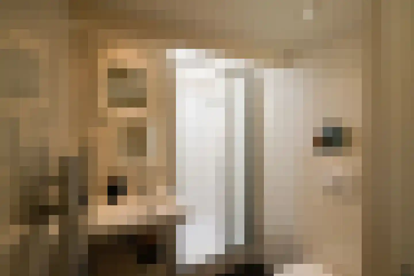 Roemer Visscherlaan 2 Muiderberg thumbnail 24
