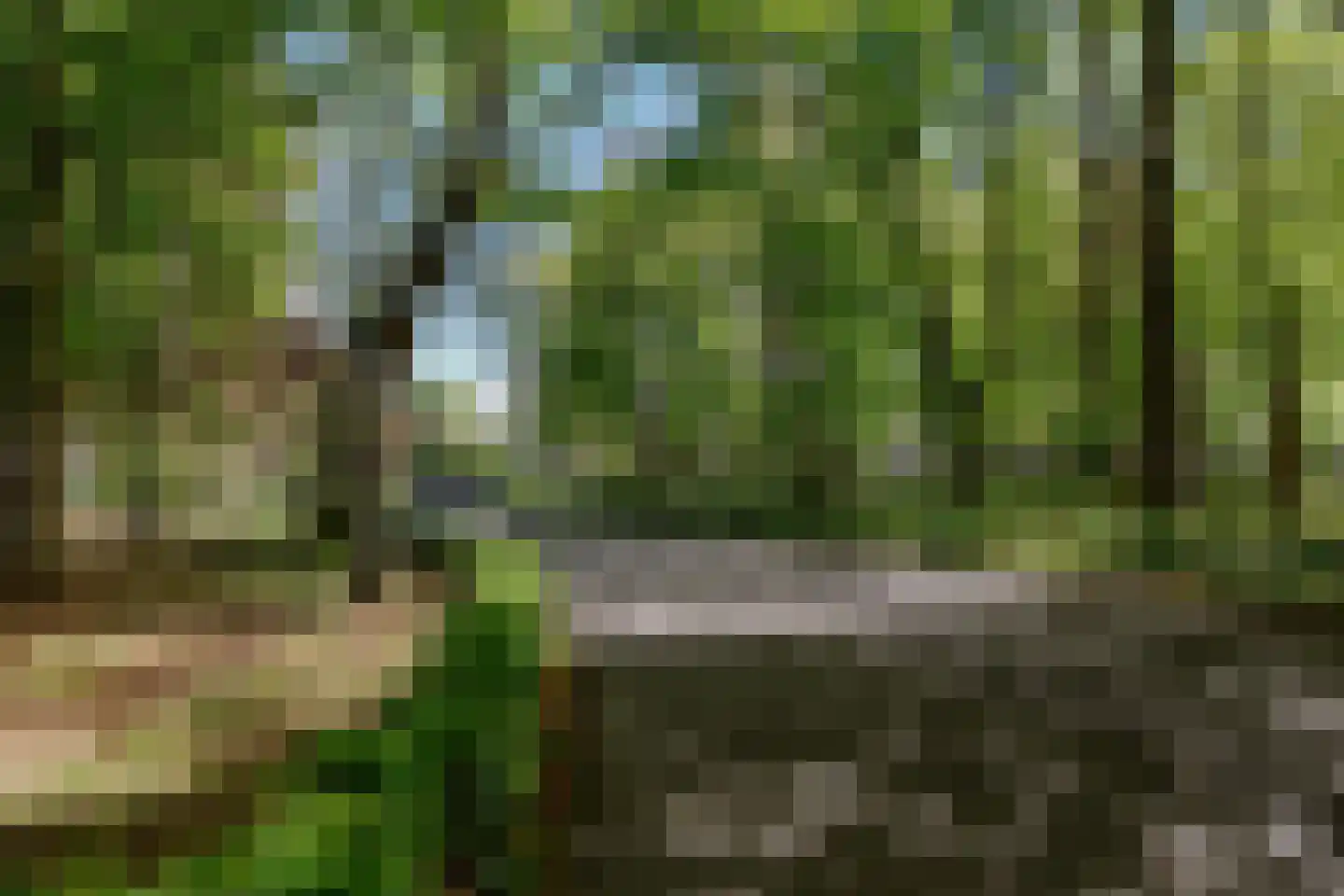Roemer Visscherlaan 2 Muiderberg thumbnail 33