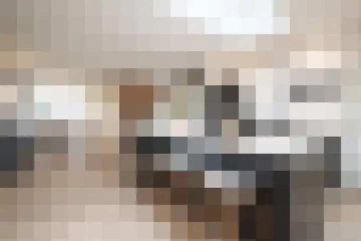 Roemer Visscherlaan 24 Zeist thumbnail 13