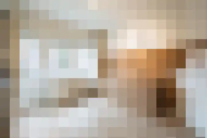 Roemer Visscherlaan 24 Zeist thumbnail 17