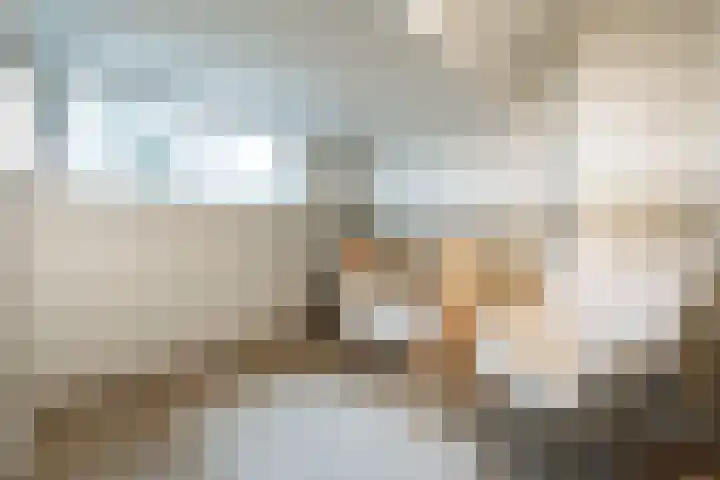 Roemer Visscherlaan 24 Zeist thumbnail 19