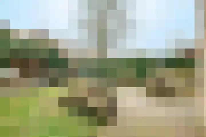 Roemer Visscherlaan 24 Zeist thumbnail 22