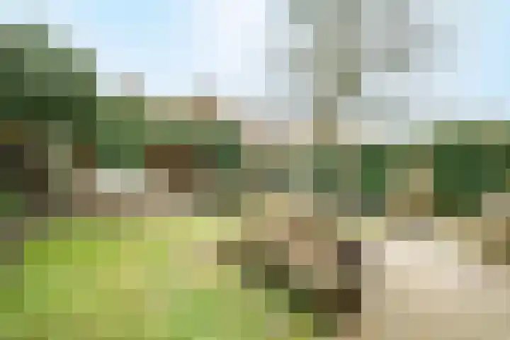 Roemer Visscherlaan 24 Zeist thumbnail 23