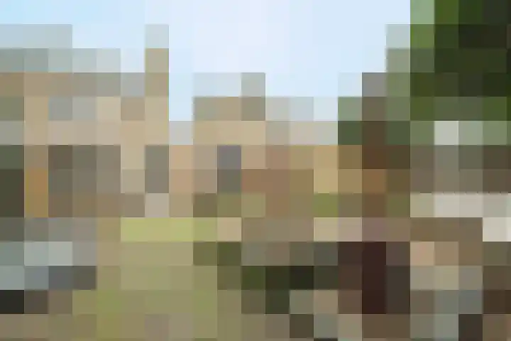 Roemer Visscherlaan 24 Zeist thumbnail 24
