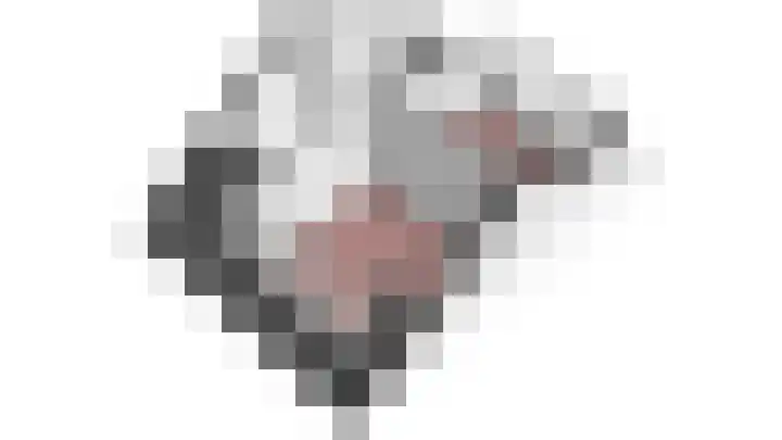 Roemer Visscherlaan 24 Zeist thumbnail 37