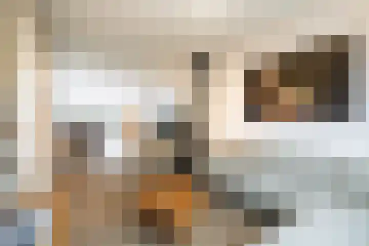 Roemer Visscherlaan 24 Zeist thumbnail 4