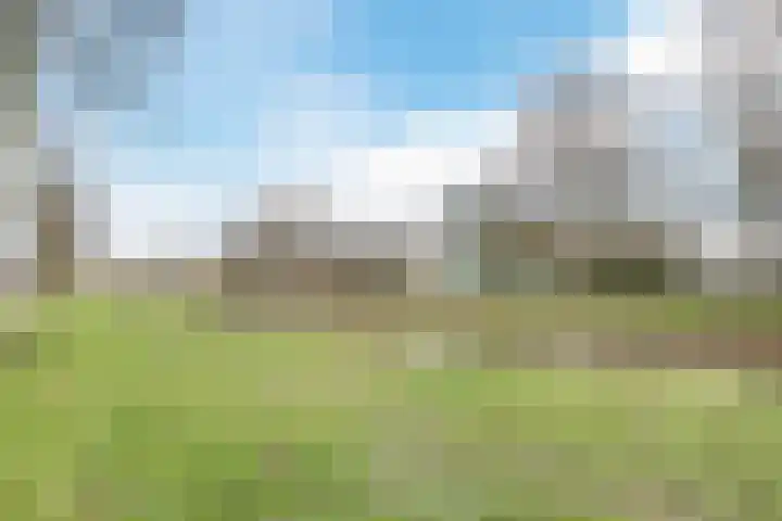 Roemer Visscherlaan 25 Roosendaal thumbnail 43