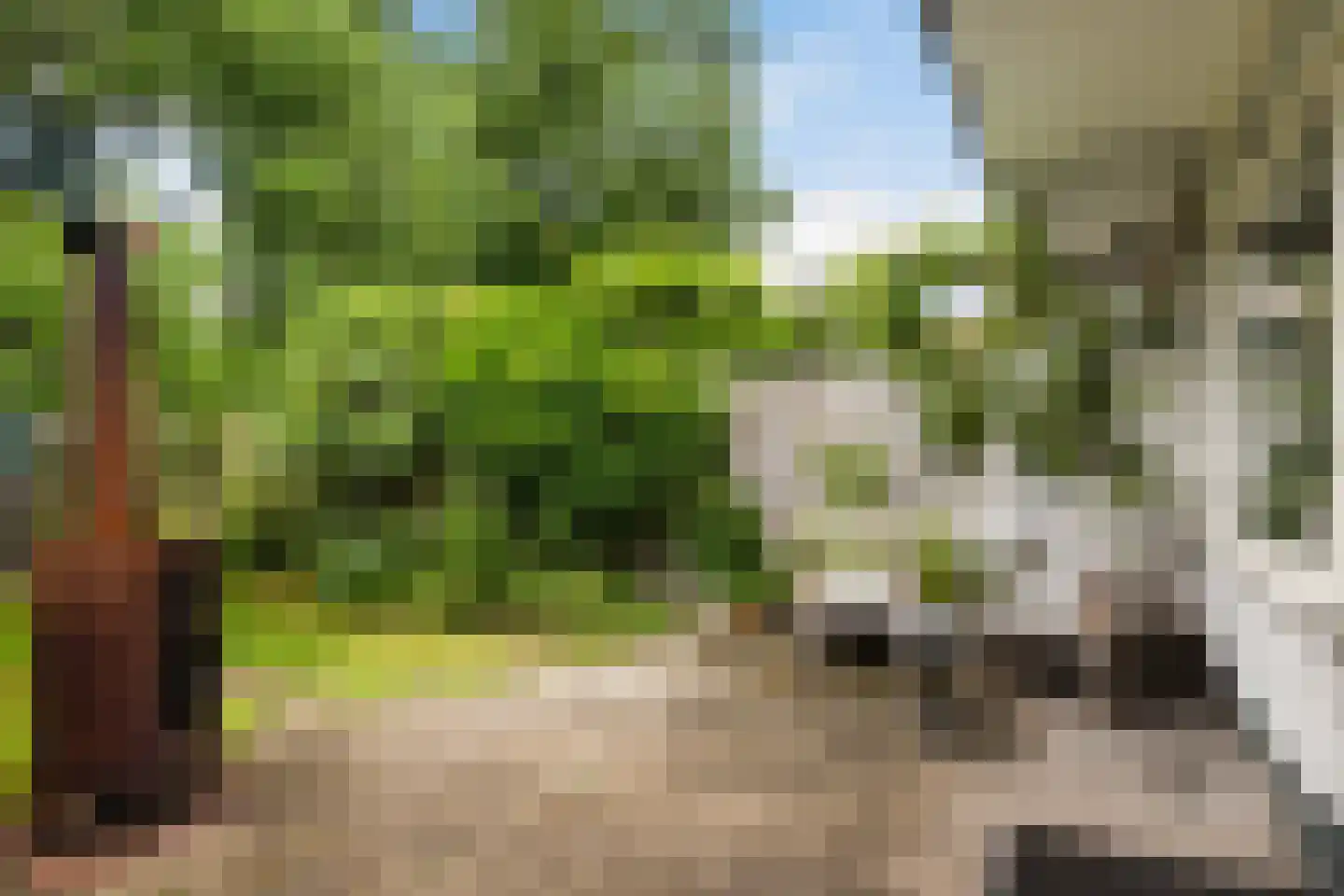 Roemer Visscherlaan 27 Zeist thumbnail 26
