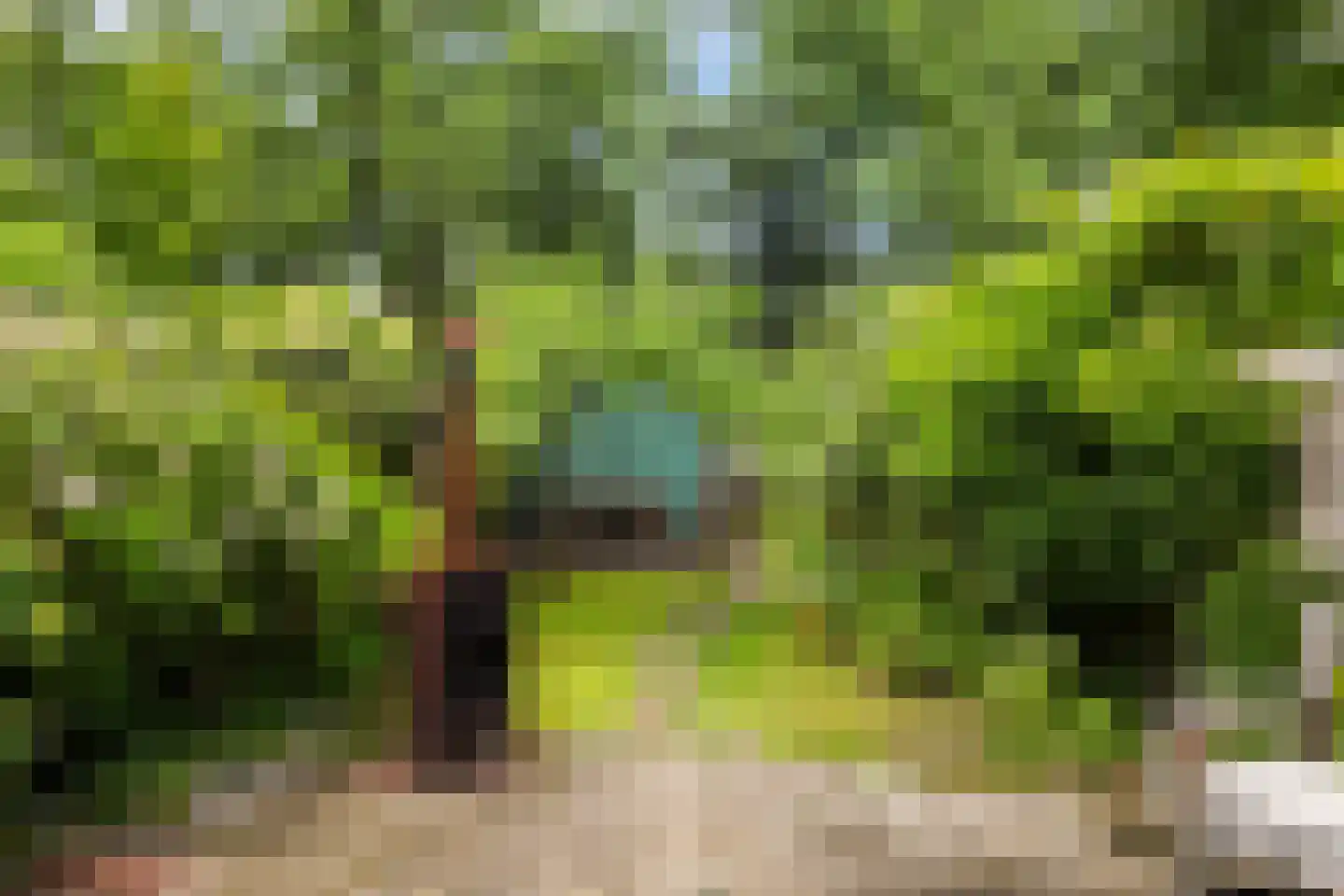 Roemer Visscherlaan 27 Zeist thumbnail 27