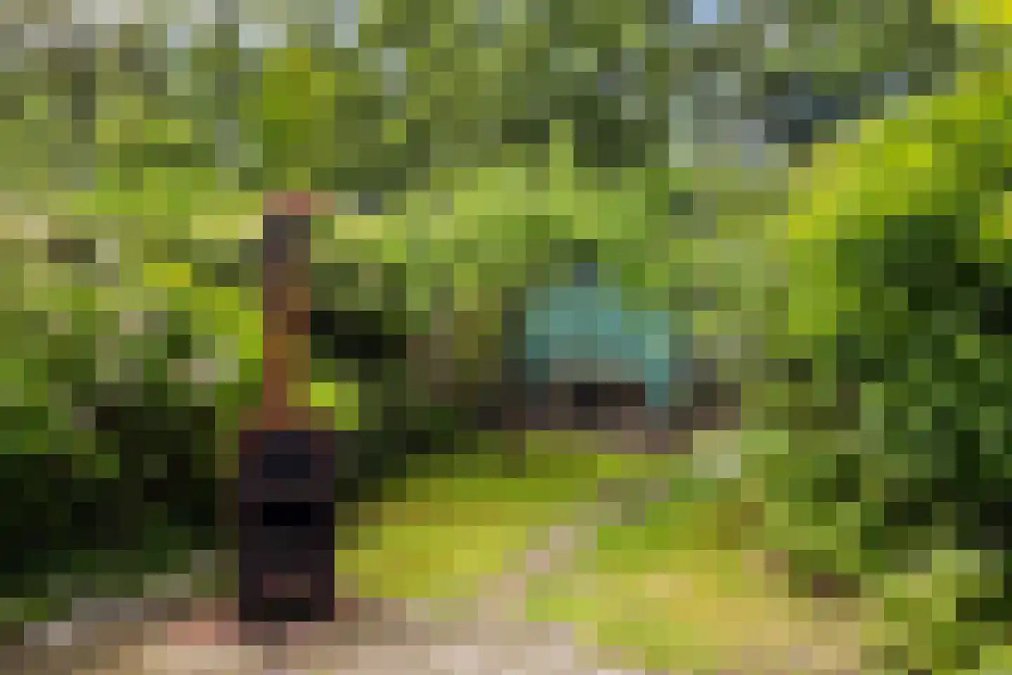 Roemer Visscherlaan 27 Zeist thumbnail 28